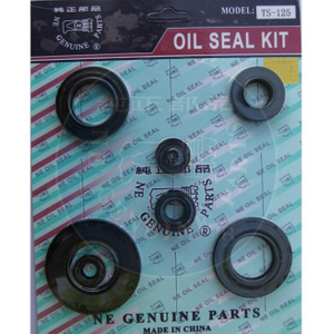 TS125 Oil seal Set