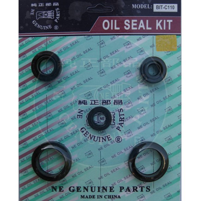 BIT-C110 Oil seal Set