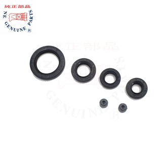 AKT-125 150 200 TT AKT-180XM TTR TTX CR-5 Oil Seal Set 