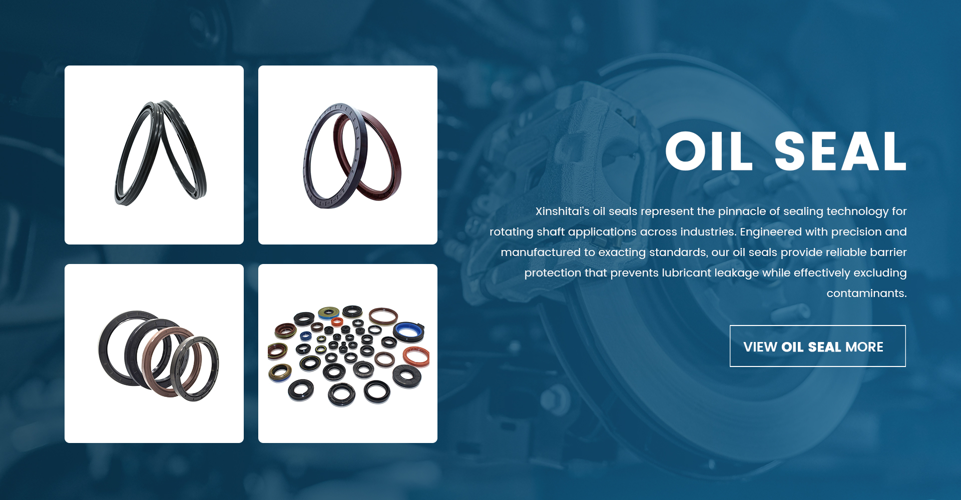 Oil Seal